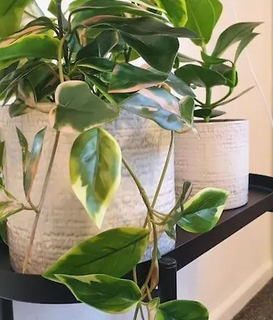 דירה Zentral Gelegene, Ruhige 1 Am Park - Self Check In קיל